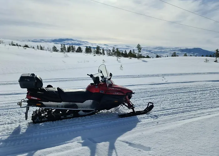 General House * Namsskogan